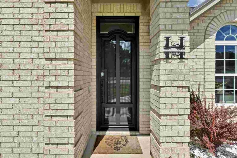 Modern steel single door with black finish, clear glass, and rectangular design