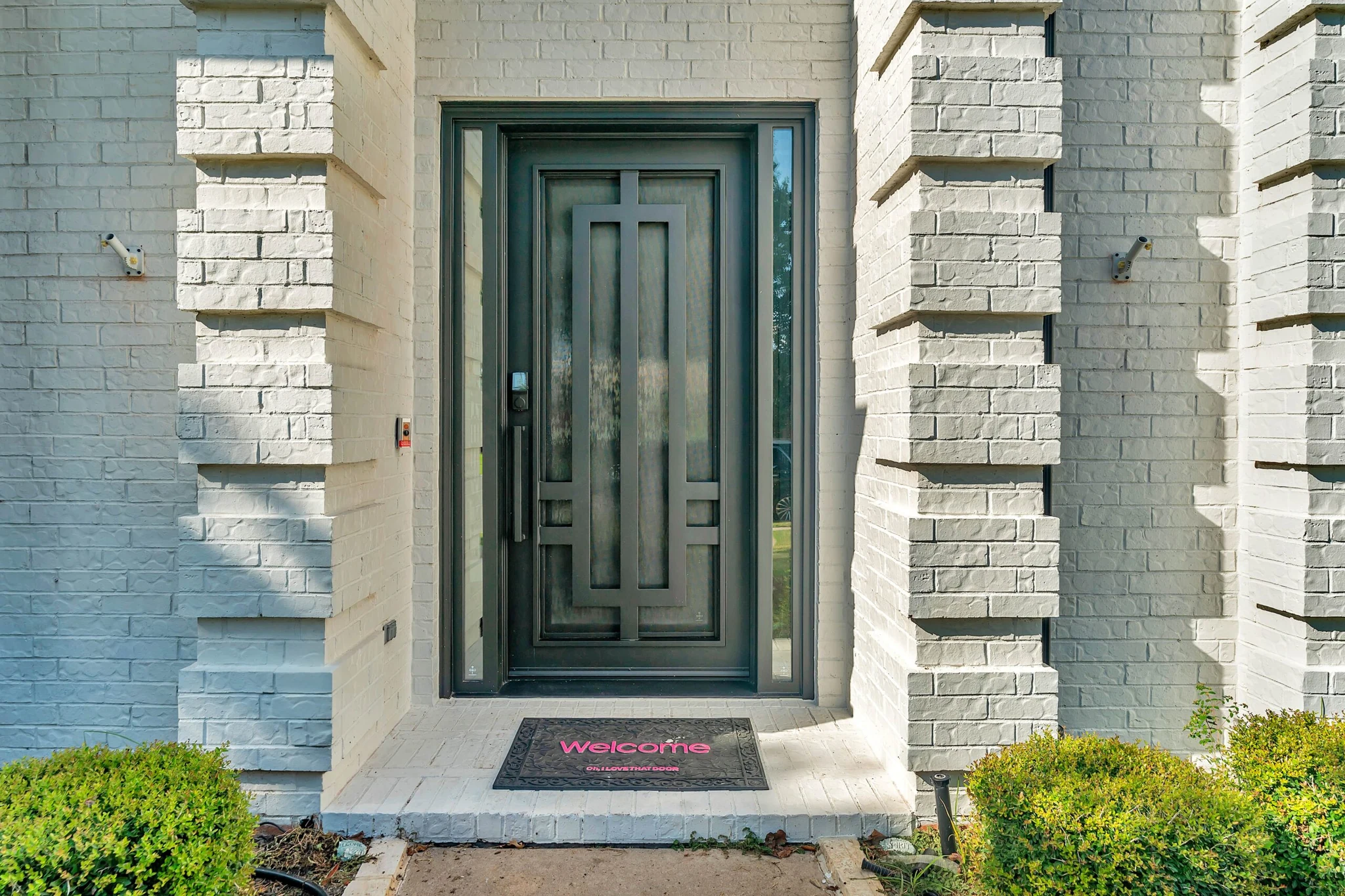 Dark steel single entry door with panel design, frosted glass and sidelights