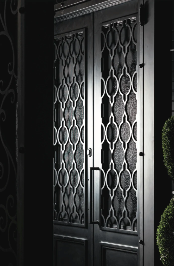 Double steel door with ornate panel and framed glass